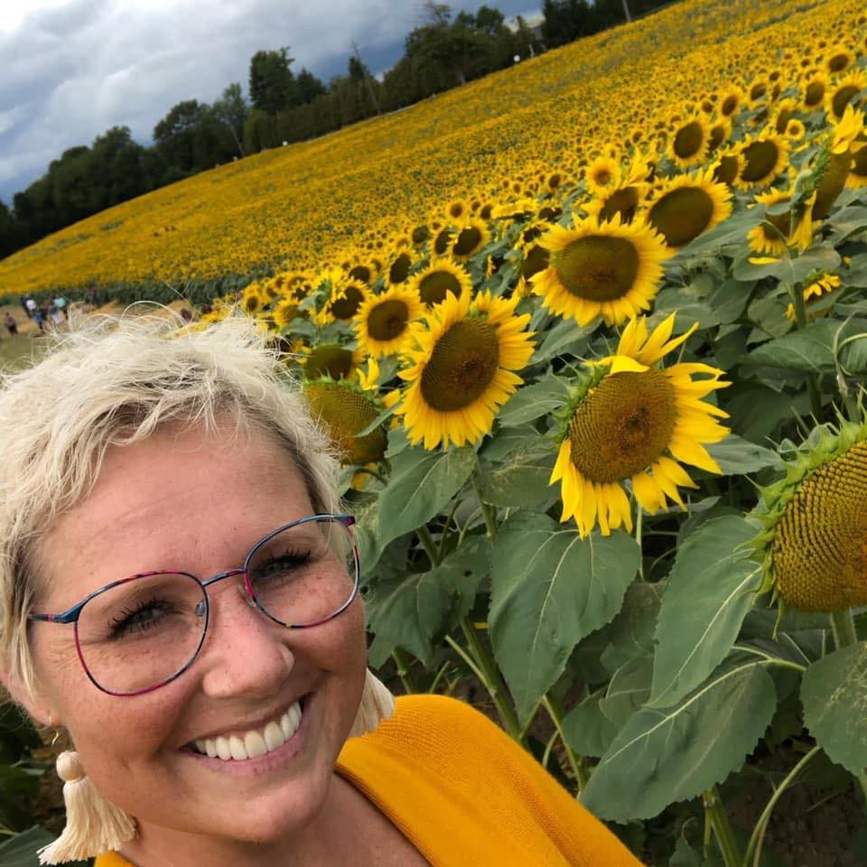 krista sunflowers